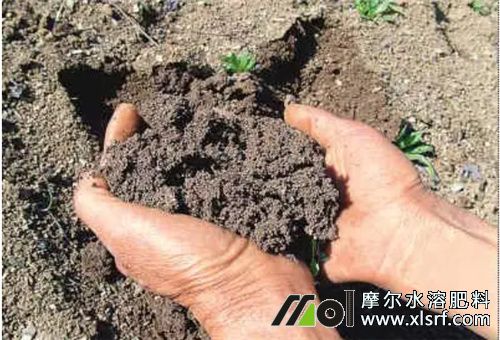 肥料填充料钙质土